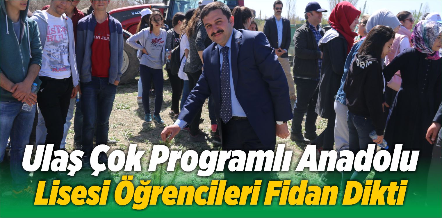 Anadolu Lisesi