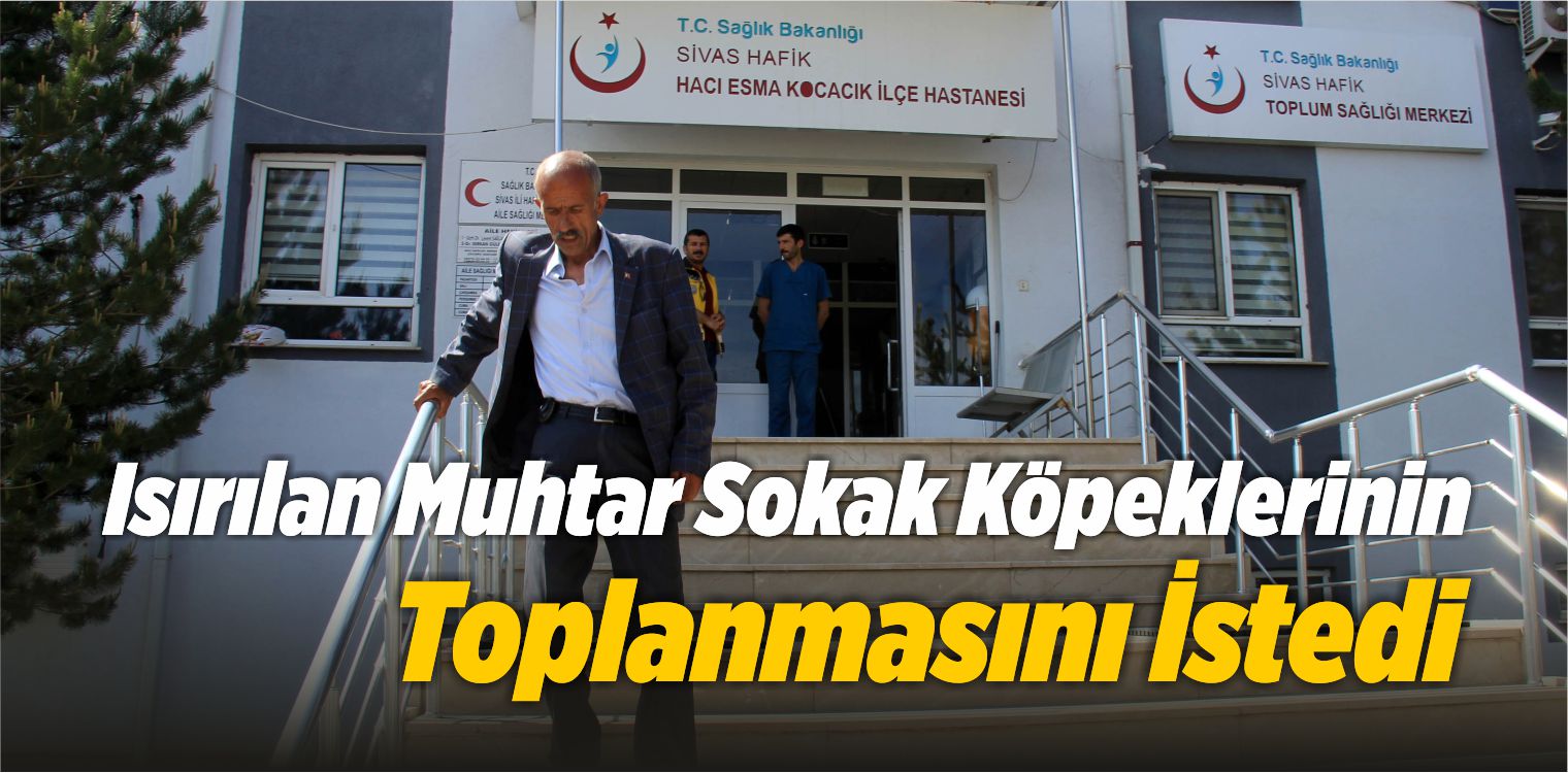 Isırılan Muhtar Sokak Köpeklerinin Toplanmasını İstedi