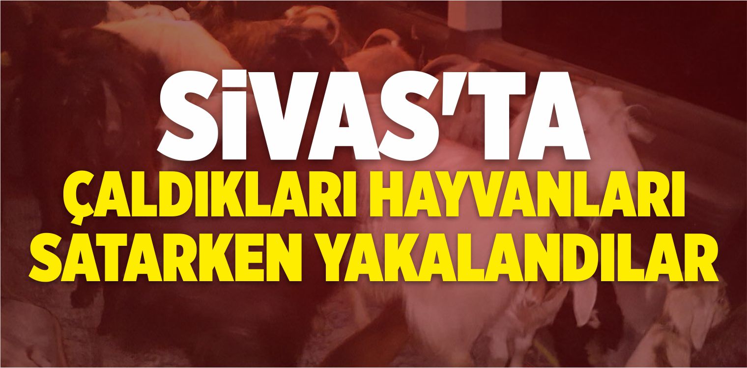Hayvan Hırsızlığı