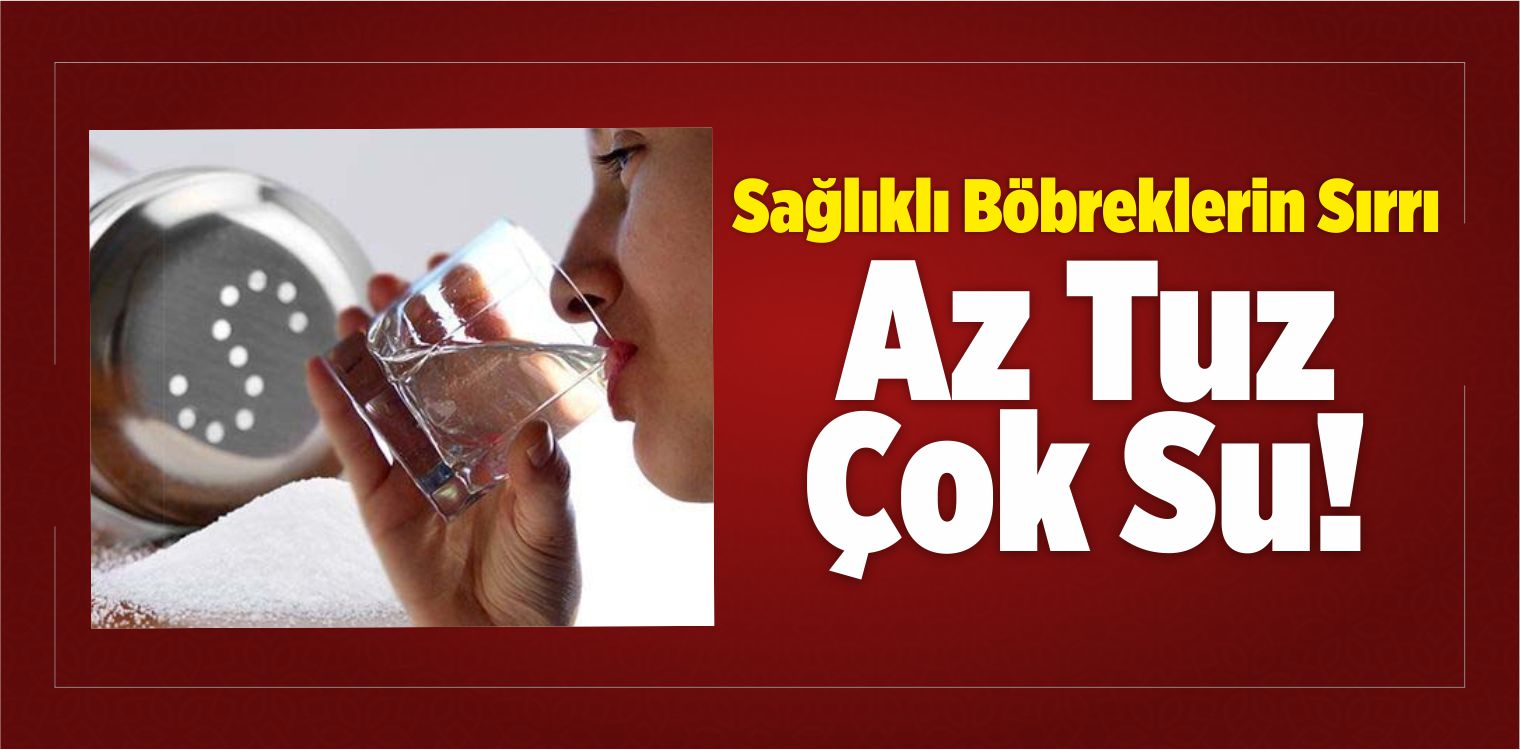 Sağlıklı Böbreklerin Sırrı