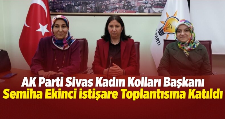 Ekinci İstişare Toplantısına Katıldı