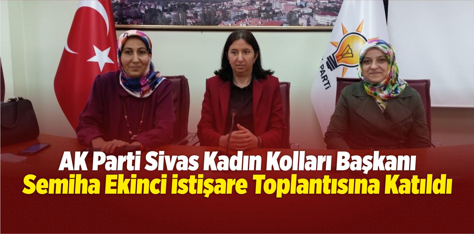 Ekinci İstişare Toplantısına Katıldı