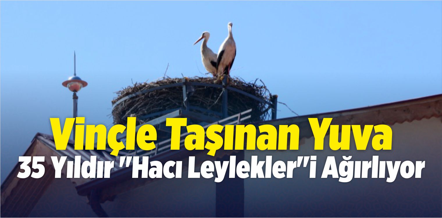 Vinçle Taşınan Yuva, 35 Yıldır “Hacı Leylekler”i Ağırlıyor