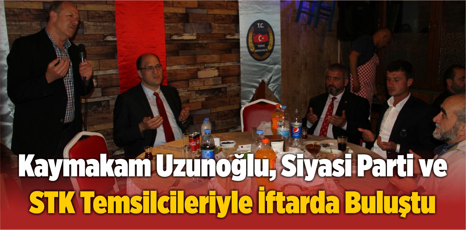 Siyasi Parti