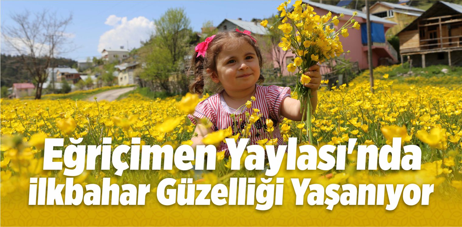 Eğriçimen Yaylası