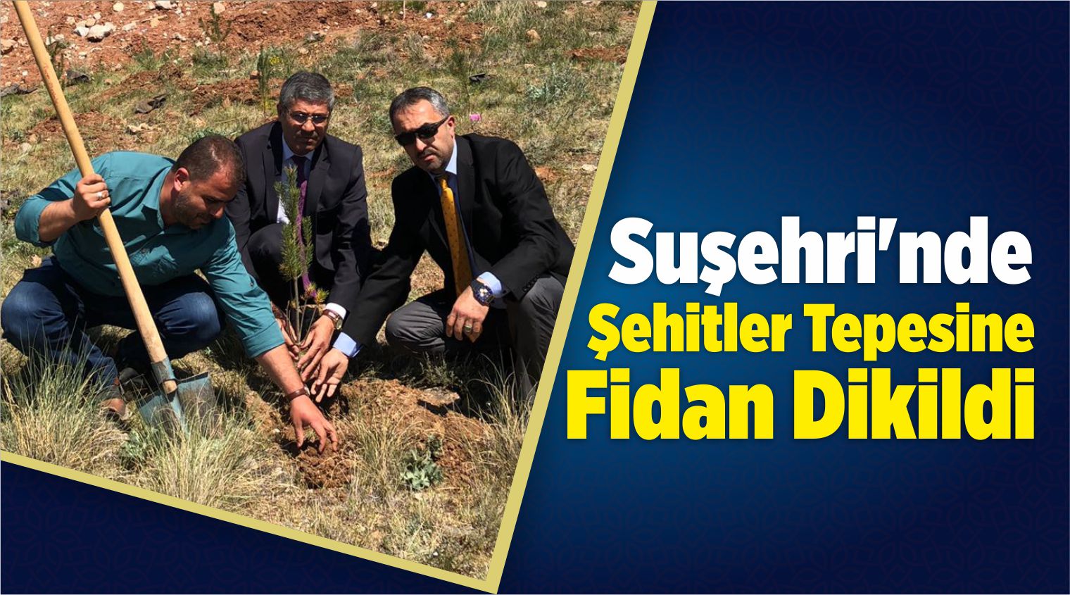 Suşehri’nde Şehitler Tepesine Fidan Dikildi