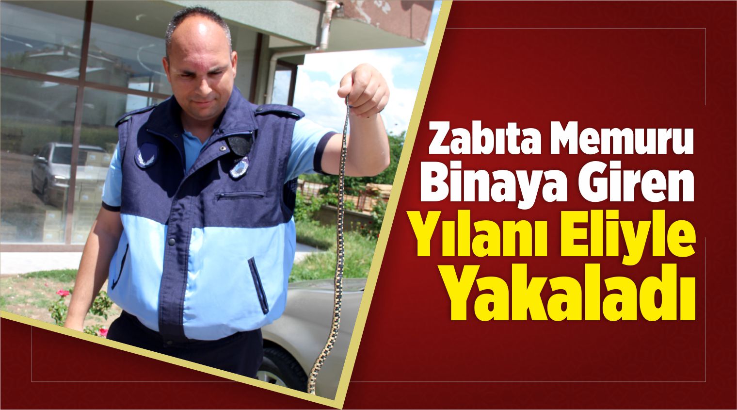 Binaya Giren Yılanı Eliyle Yakaladı