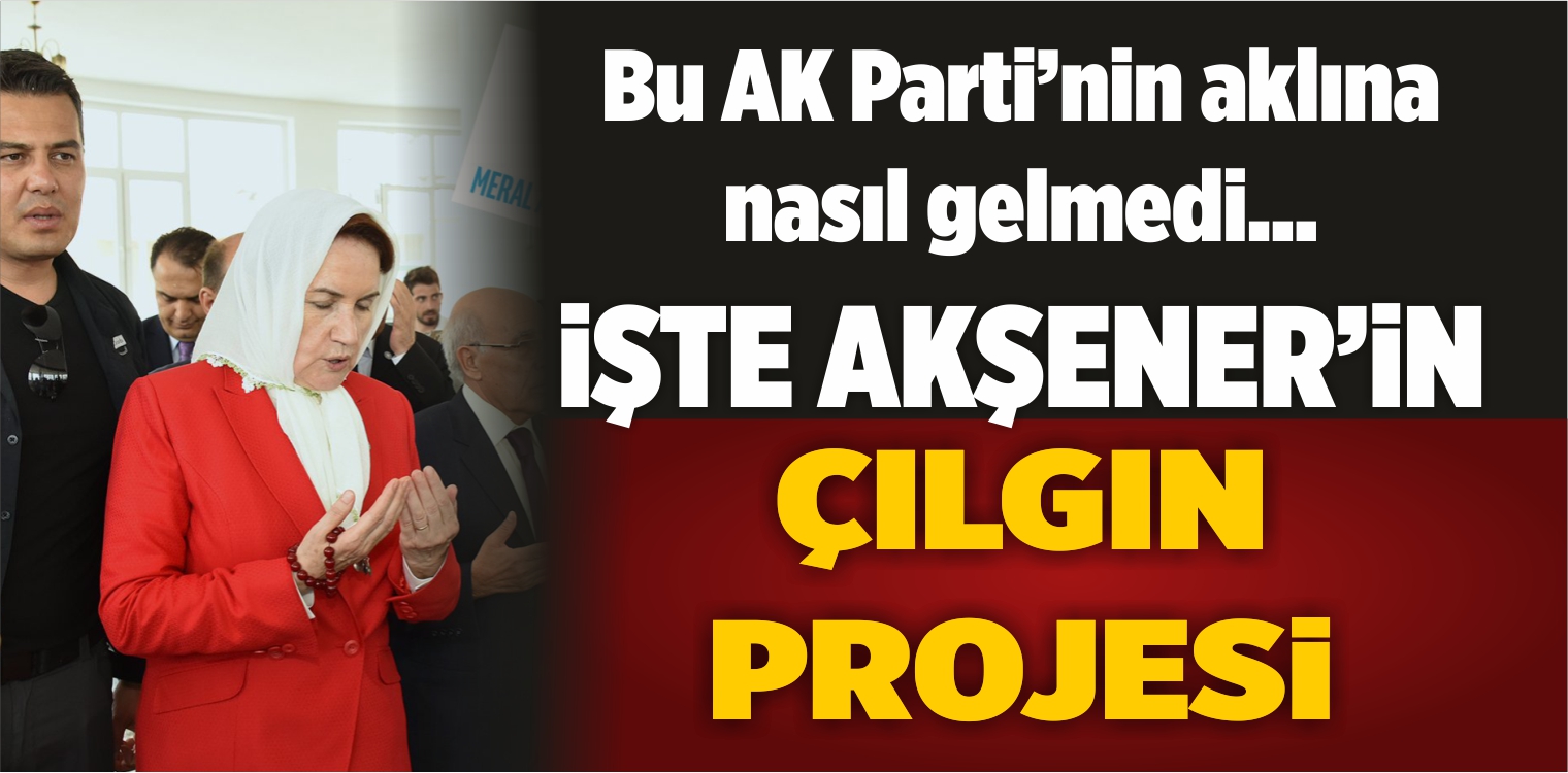Çılgın Proje