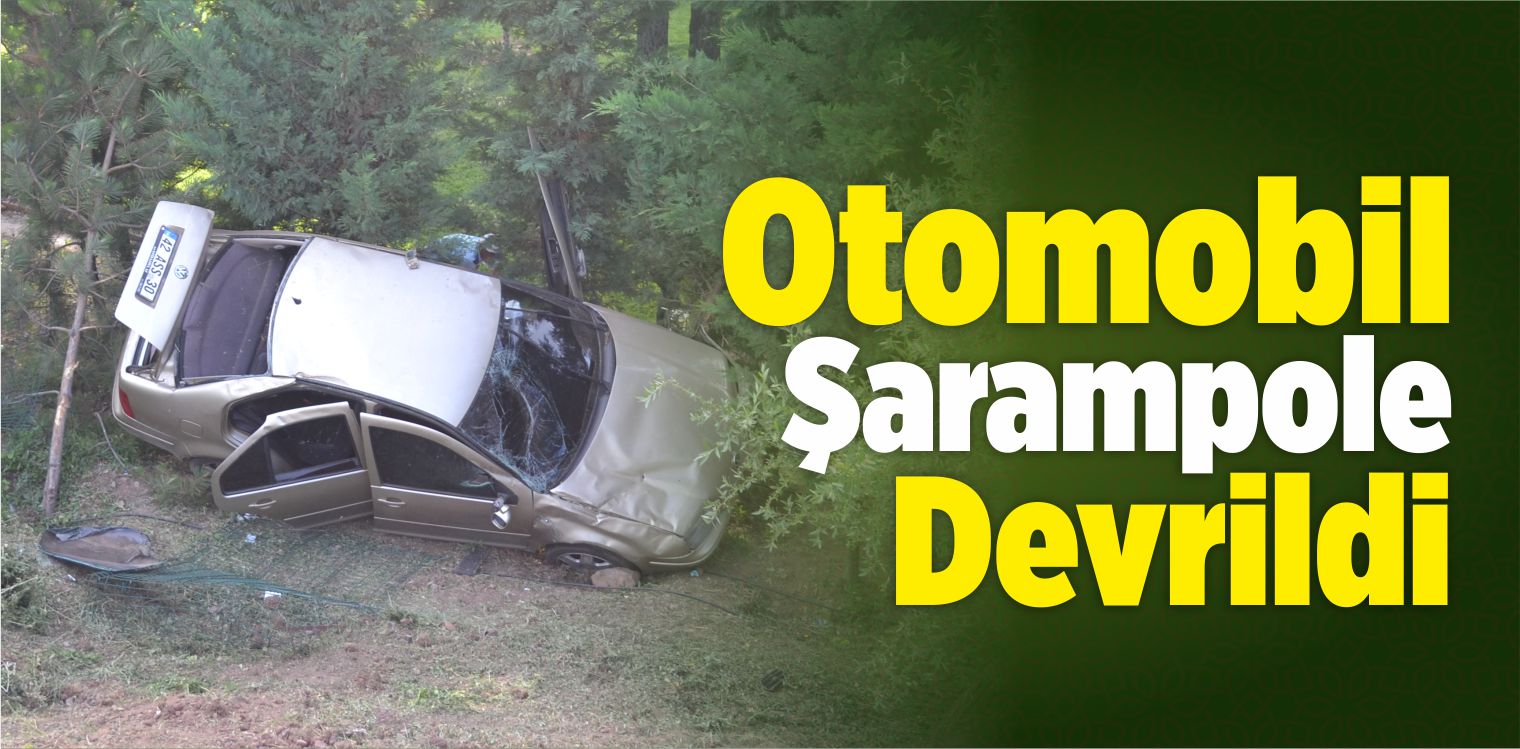 Otomobilin Şarampole Devrilmesi