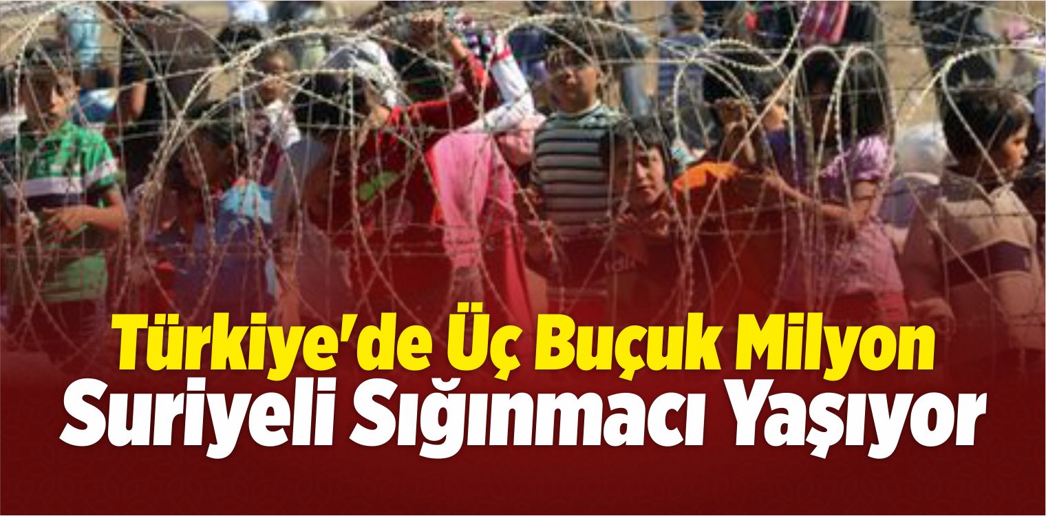 Suriyeli Sığınmacı