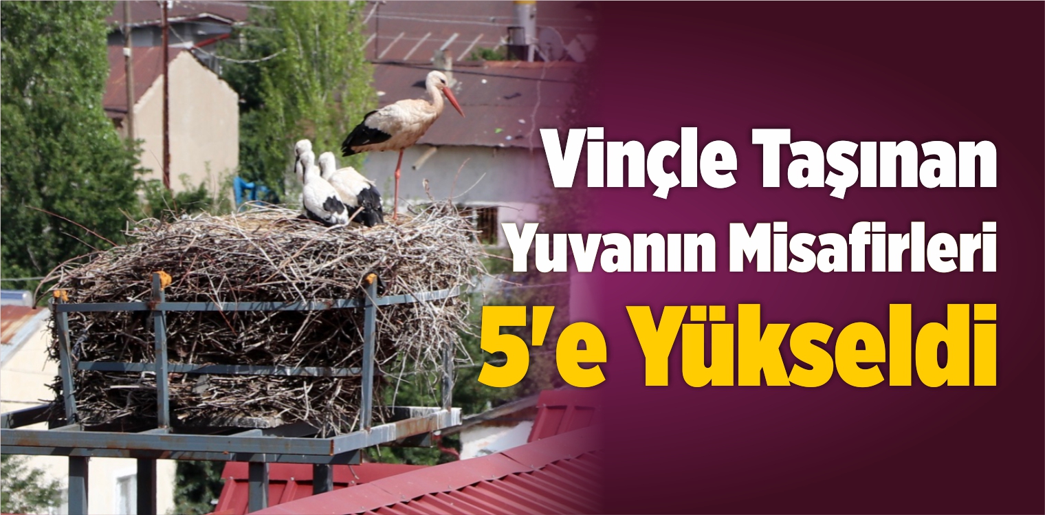 Vinçle Taşınan Yuvanın Misafirleri 5’e Yükseldi