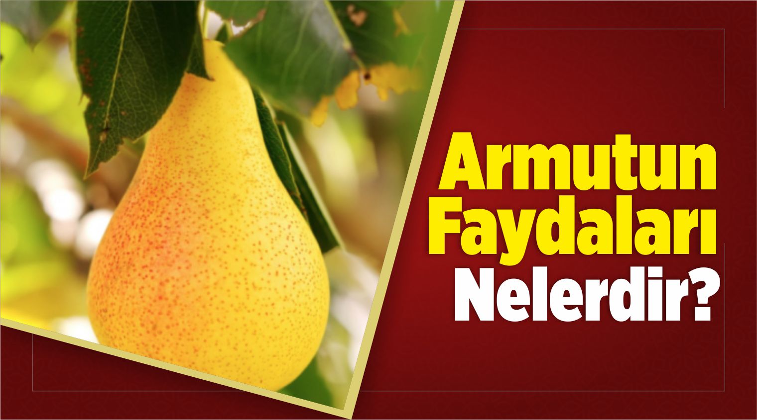 Armutun Faydaları Nelerdir?