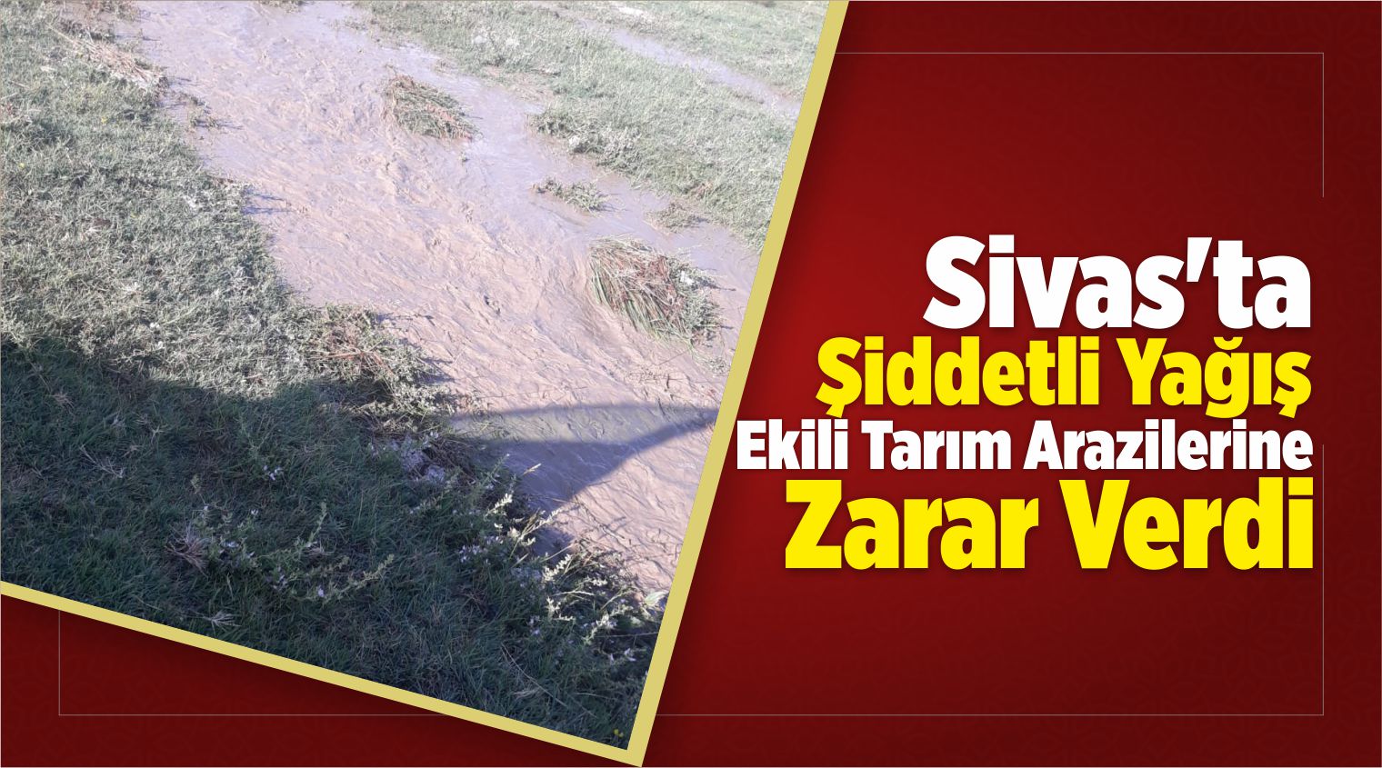 Ekili Tarım Arazilerine