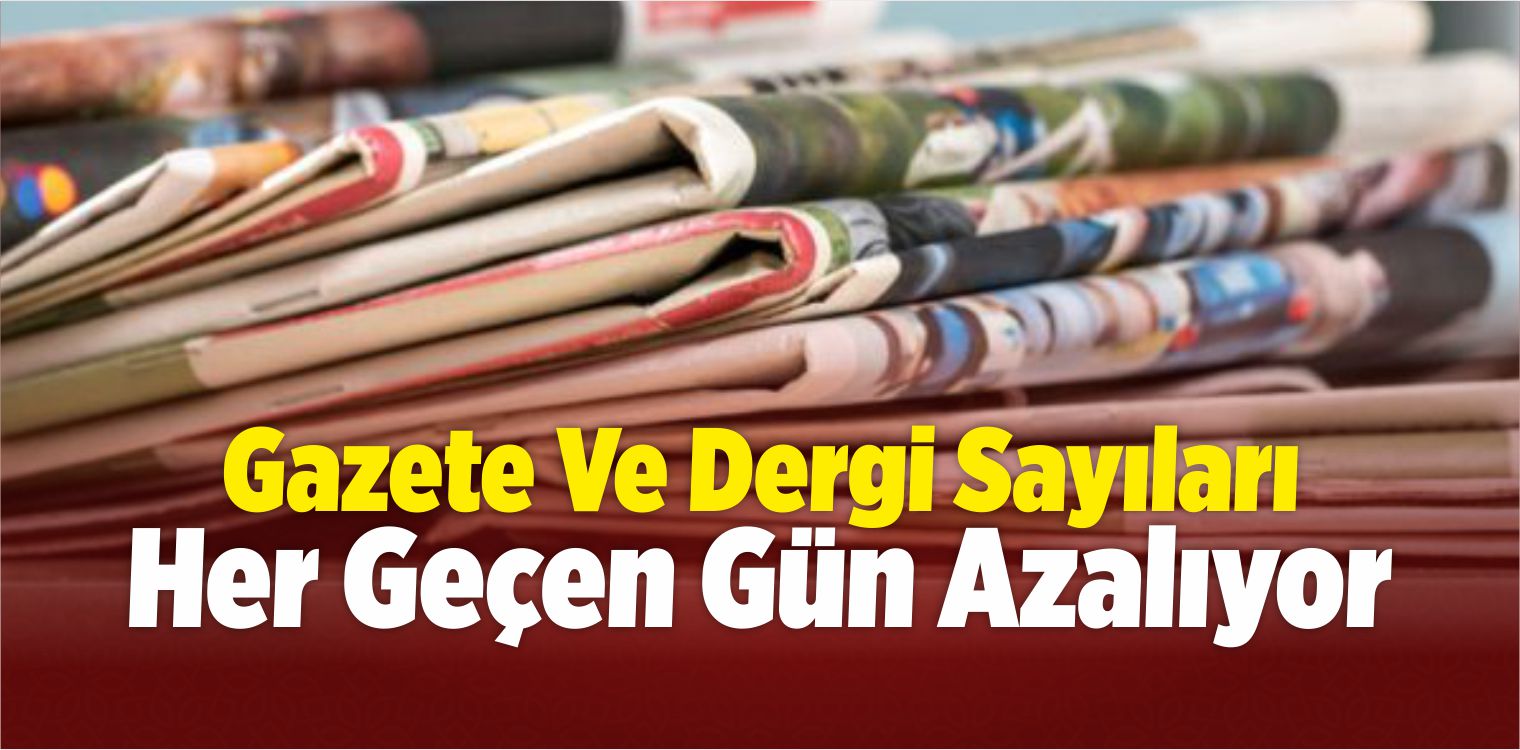 Gazete Ve Dergi Sayıları