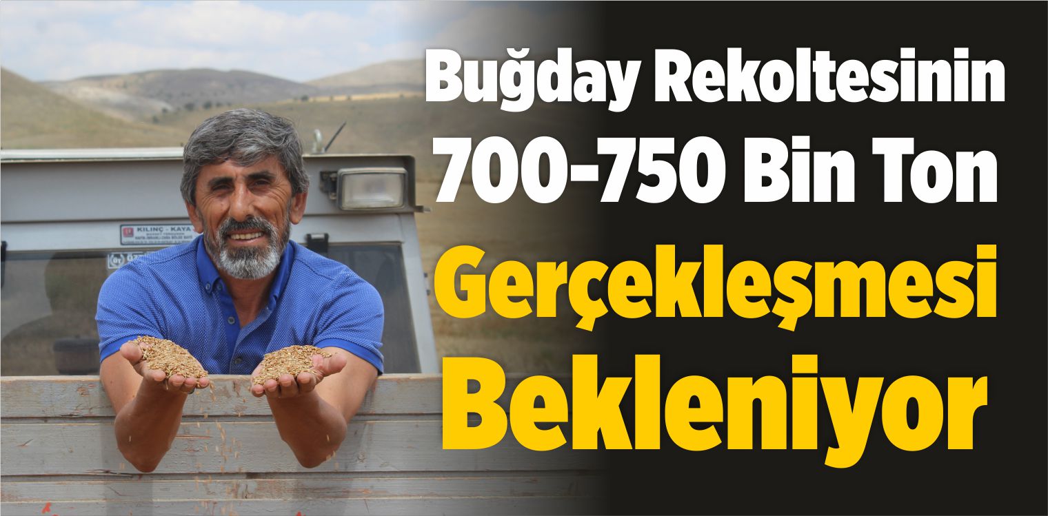 Buğday Rekoltesinin 700-750 Bin Ton Gerçekleşmesi Bekleniyor