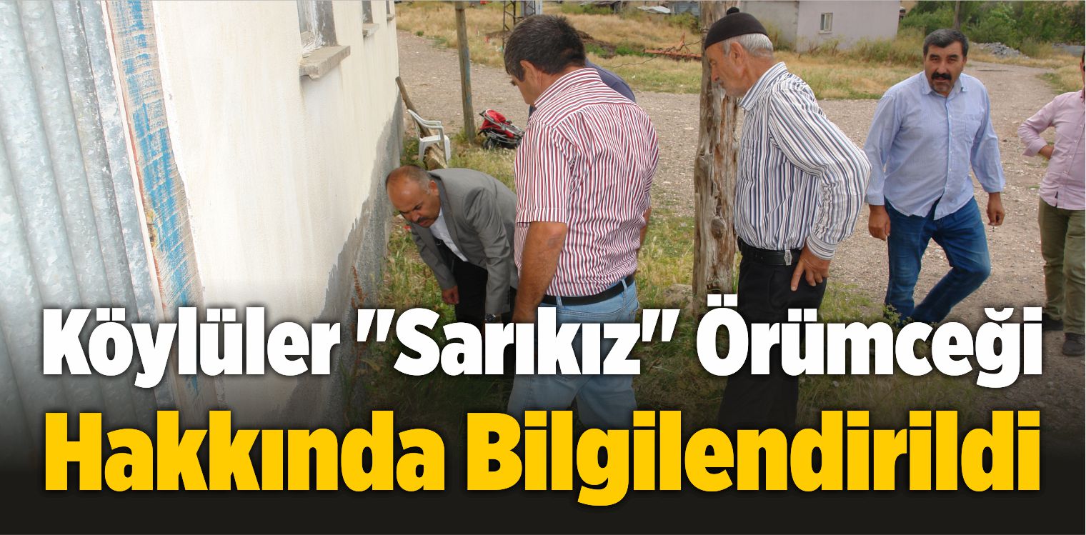 Köylüler “Sarıkız” Örümceği Hakkında Bilgilendirildi