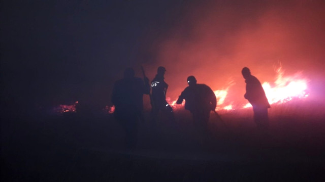 20 Hektar Alan Yandı