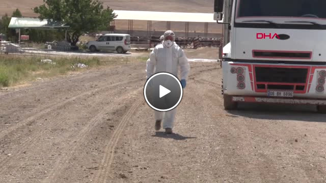 Ankara da  Şarbon  Çıkan Çiftliğin Mahalle Besicileri Önlem Alınmasını İstiyor