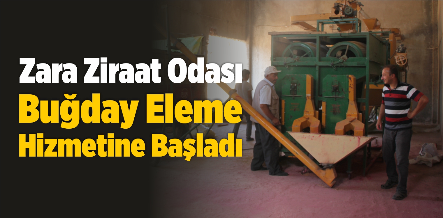 Zara Ziraat Odası Buğday Eleme Hizmetine Başladı