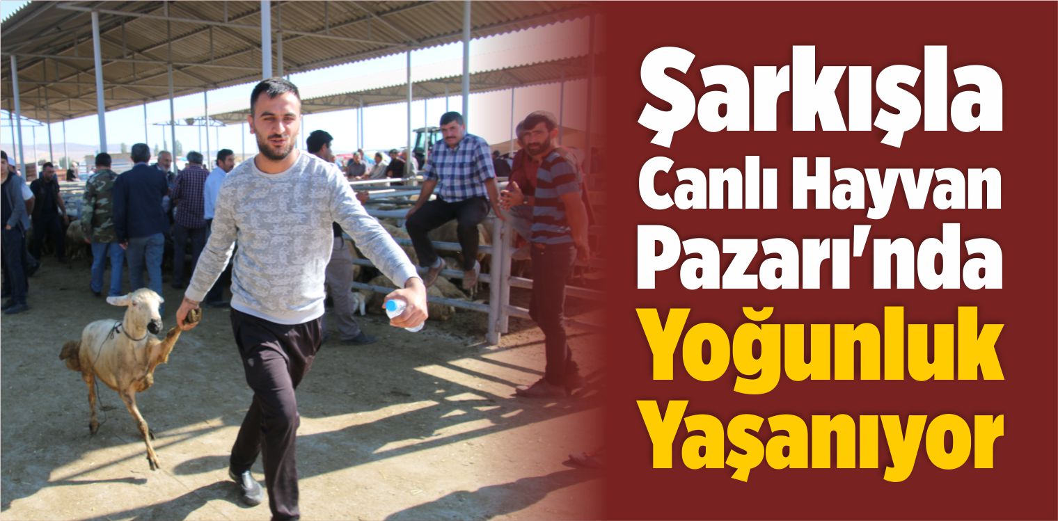 Canlı