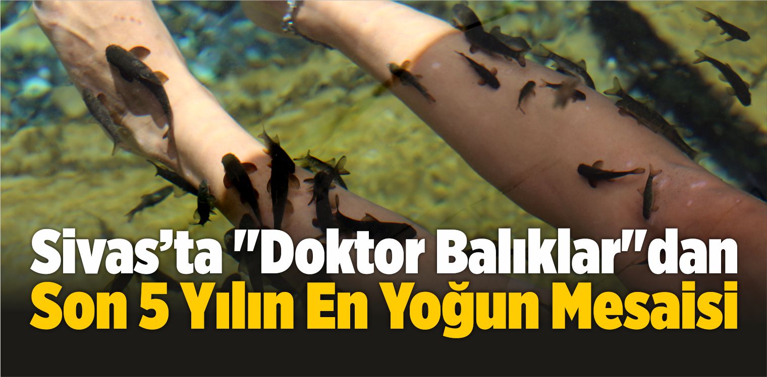 “Doktor Balıklar”dan Son 5 Yılın En Yoğun Mesaisi