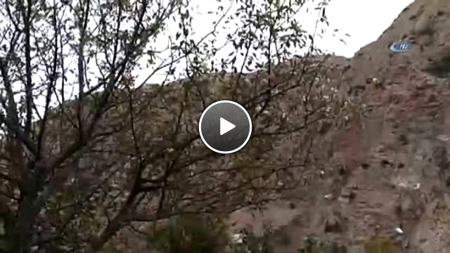 Elma Ağaçları Zamansız Çiçek Açtı