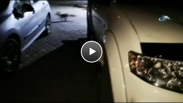 Etin Kokusunu Alan Tilki Köye İndi