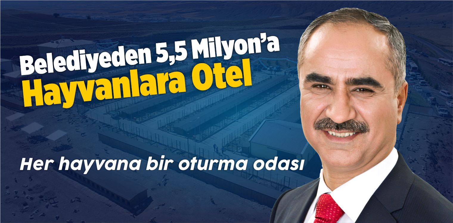 Sokak Hayvanları Yaşam, Rehabilitasyon Merkezi ve Hayvan Oteli Açıldı