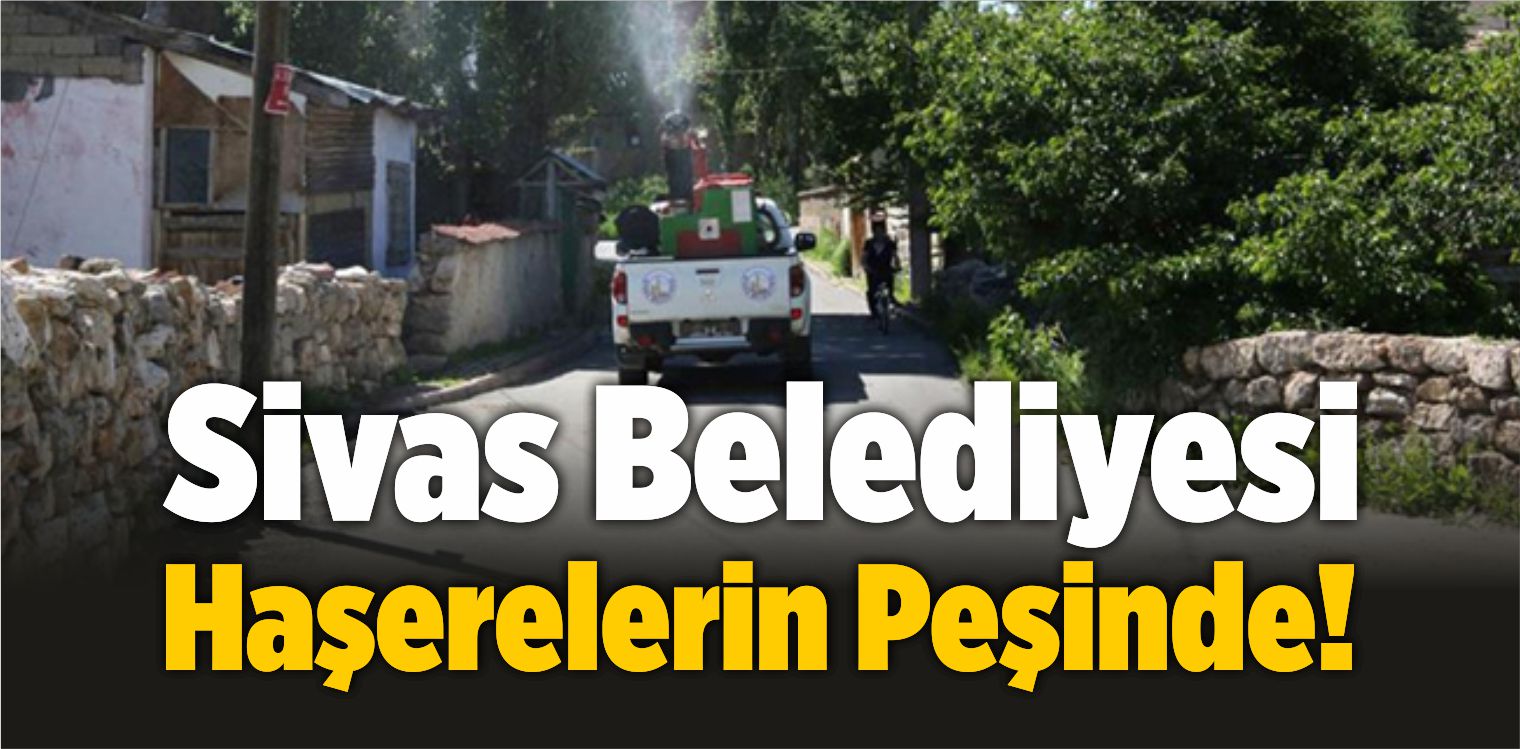 Sivas Belediyesi Haşerelerin Peşinde!