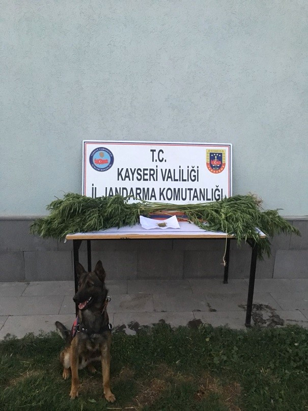 Jandarma Bayramda da Uyuşturucuya Geçit Vermedi