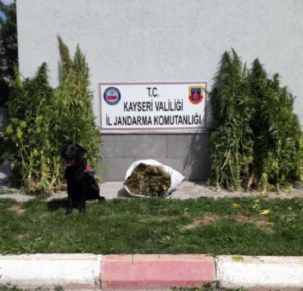 Jandarmadan Bayramda Uyuşturucu Operasyonu: 3 Gözaltı