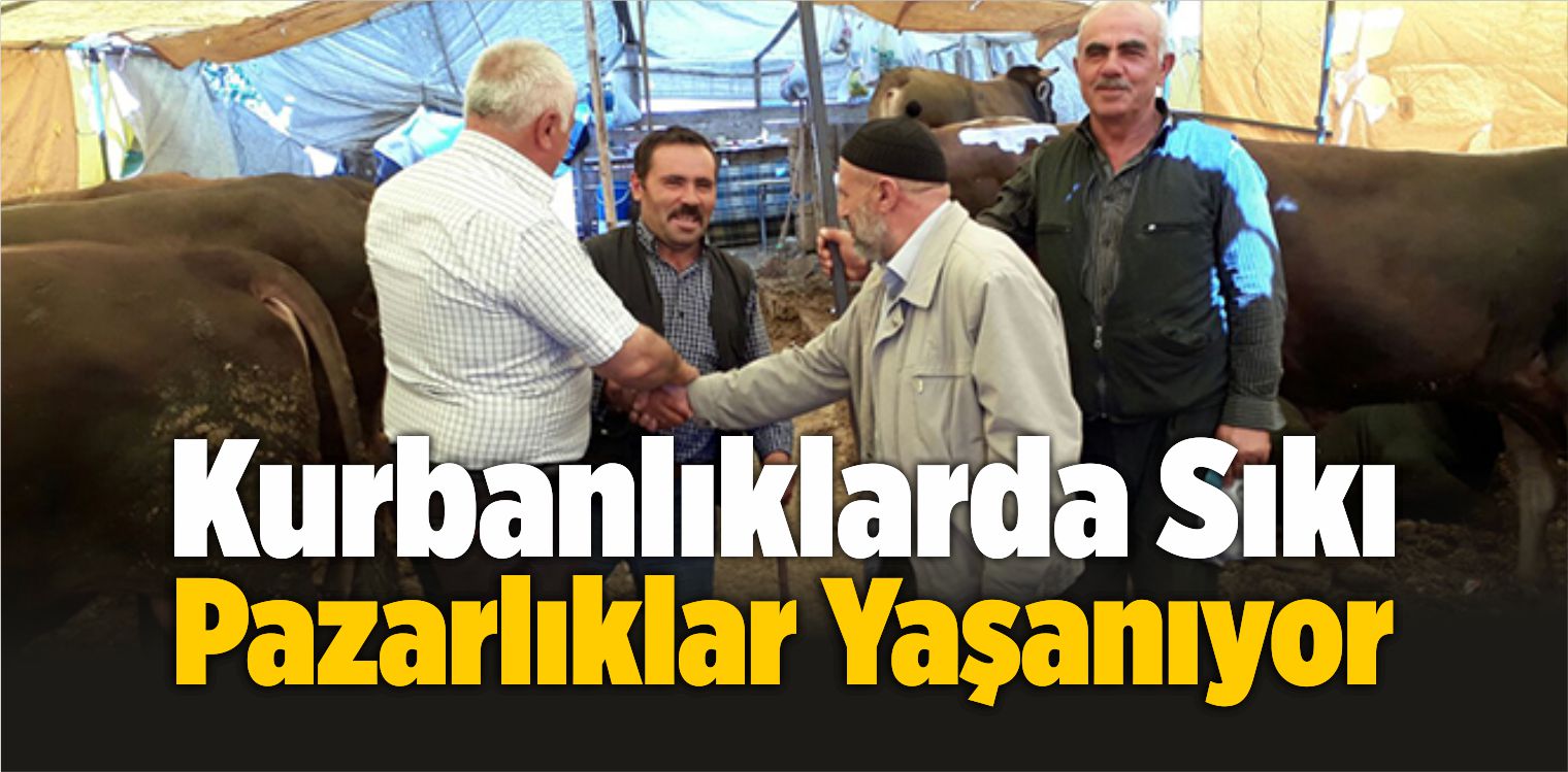 Kurban Bayramı İçin Geri Sayım Başladı Telaş Arttı