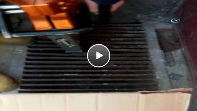 Mazgalda Mahsur Kalan Yavru Kedileri İtfaiye Kurtardı