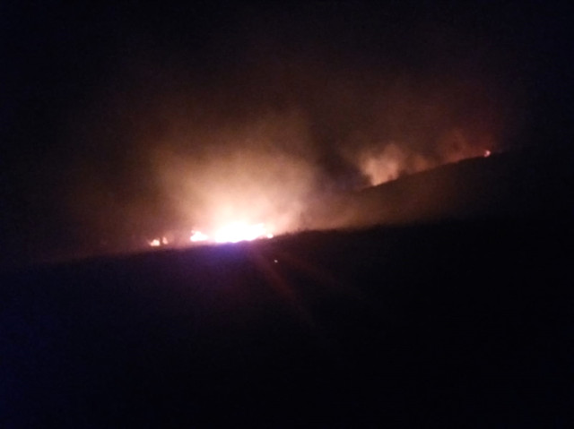 Niğde de Orman Yangını