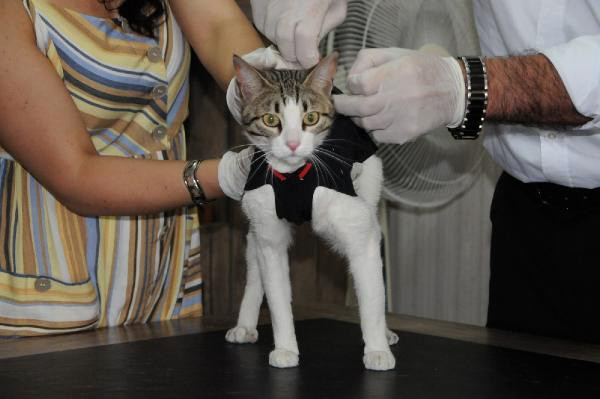 Niğde de Üretti, Dubai ye Satıyor