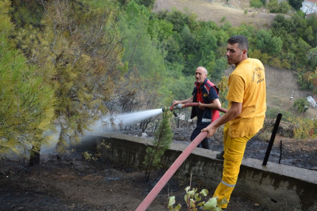 Niksar da Mezarlık Yangını