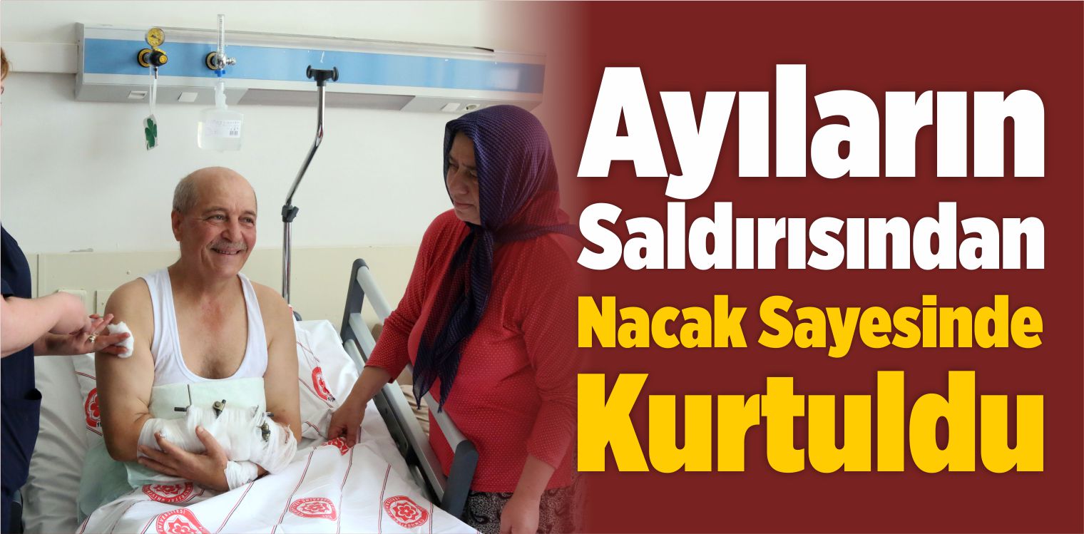 Ayıların Saldırısından Nacak Sayesinde Kurtuldu