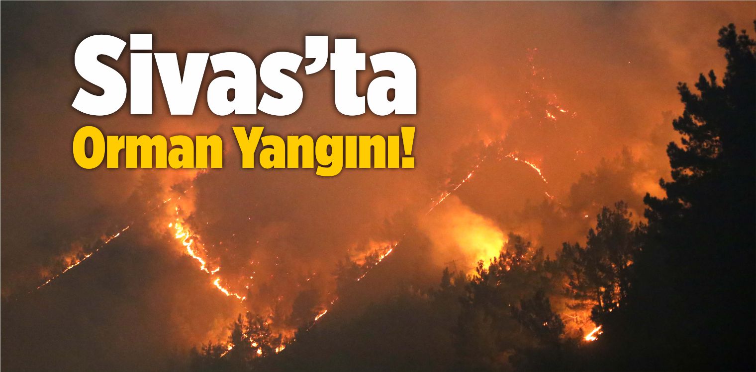 Koyulhisar İlçesinde Ormanlık Alanda Yangın Çıktı!