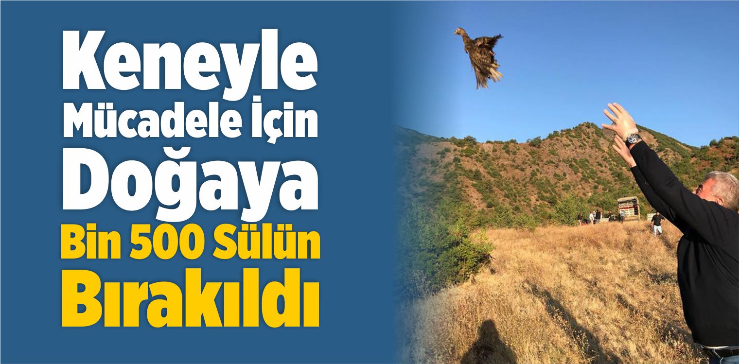 Keneyle Mücadele İçin Doğaya Bin 500 Sülün Bırakıldı