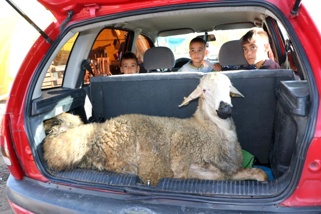 Yozgat’ta Kurbanlar Kesildi! Yozgat Haberleri