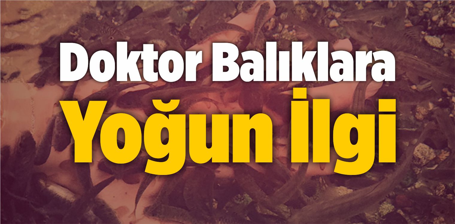 Doktor Balıklara Yoğun İlgi
