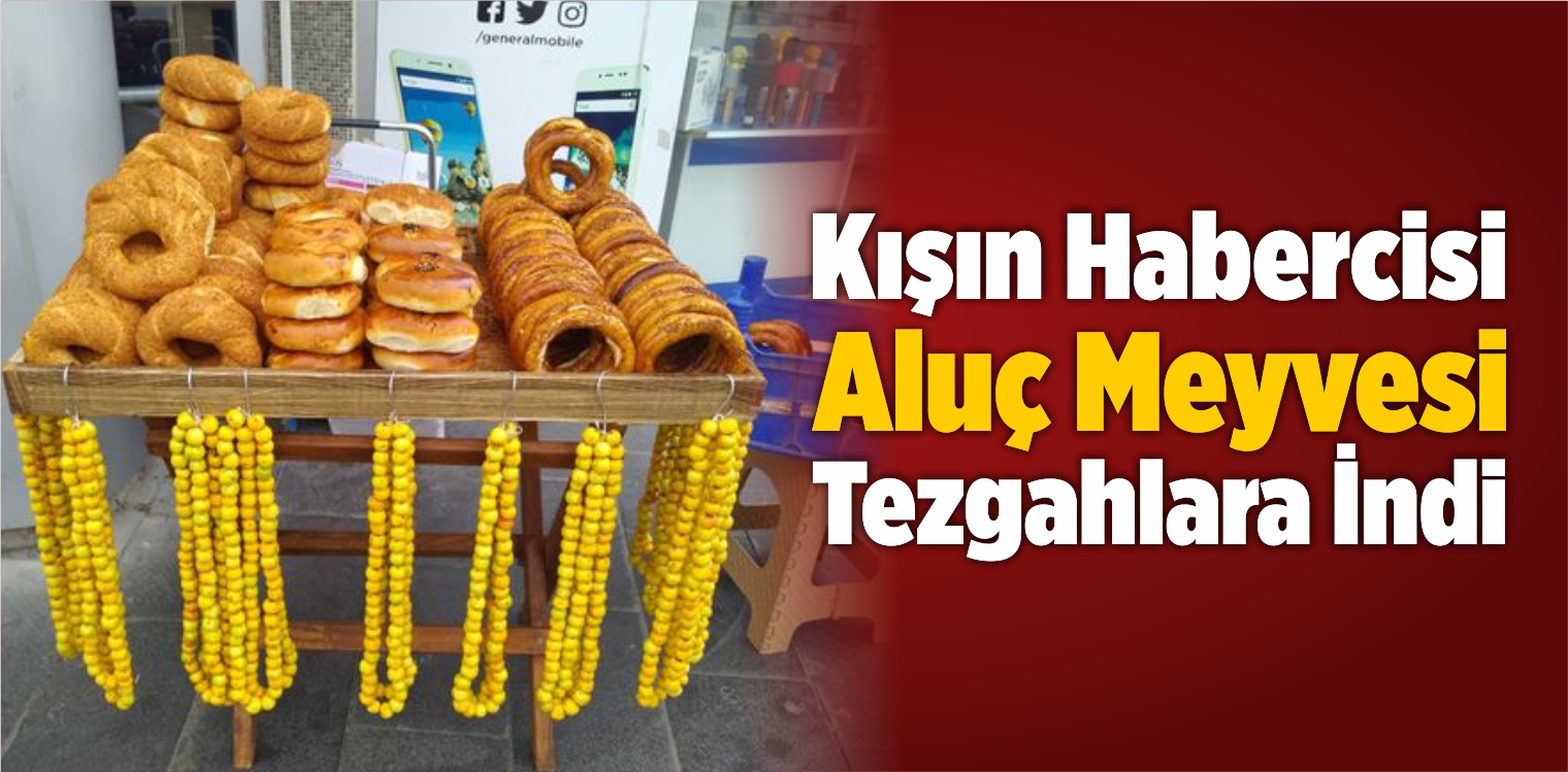 Kışın Habercisi Aluç Tezgahlara İndi