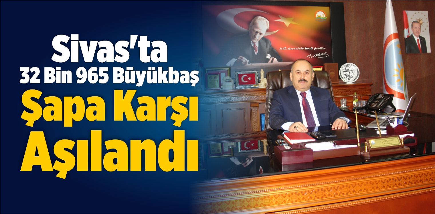 Sivas’ta 32 Bin 965 Büyükbaş Şapa Karşı Aşılandı