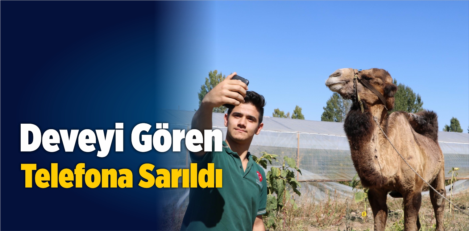 Deveyi Gören Telefona Sarıldı