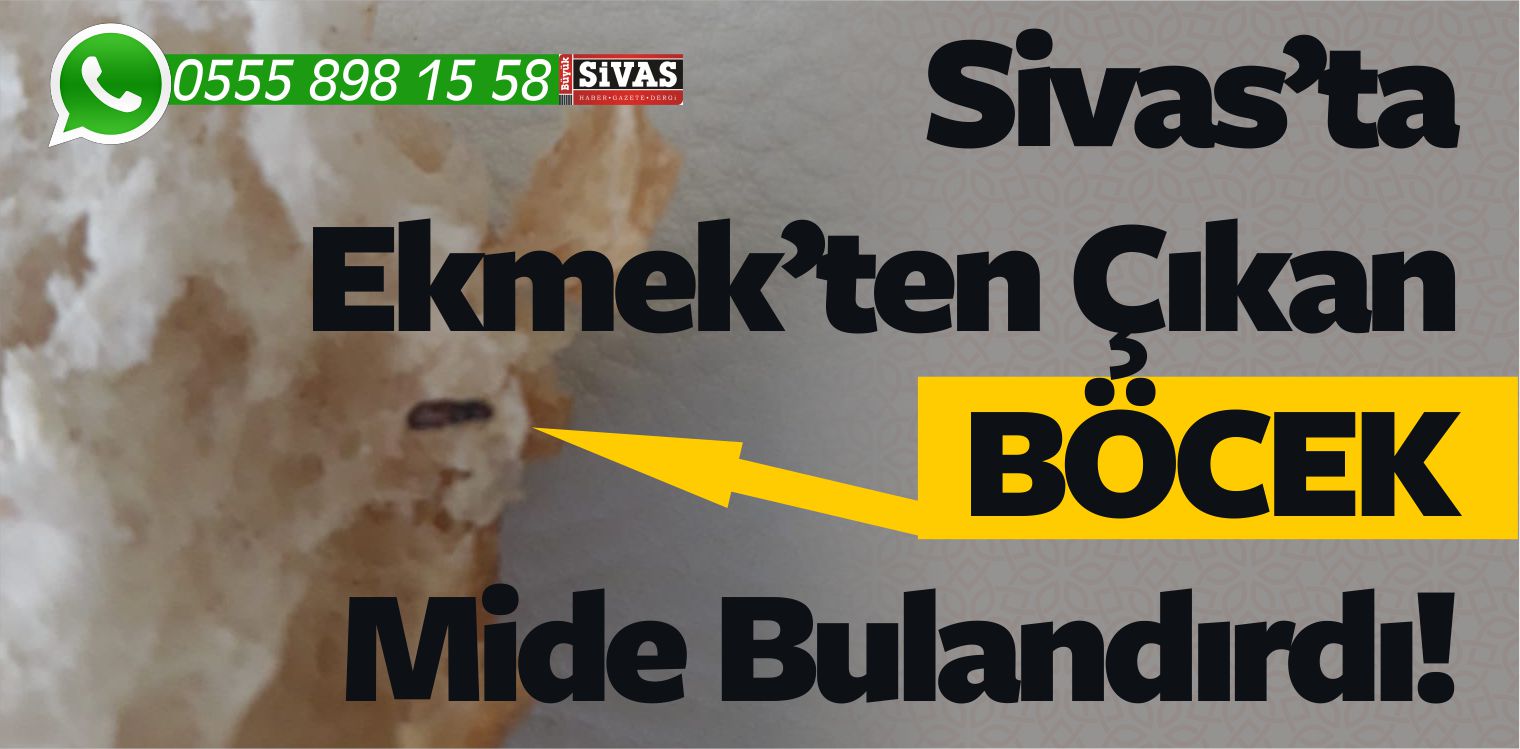 Sivas’ta Ekmekten Çıkan Böcek Mide Bulandırdı! Denetimler Zayıf mı?