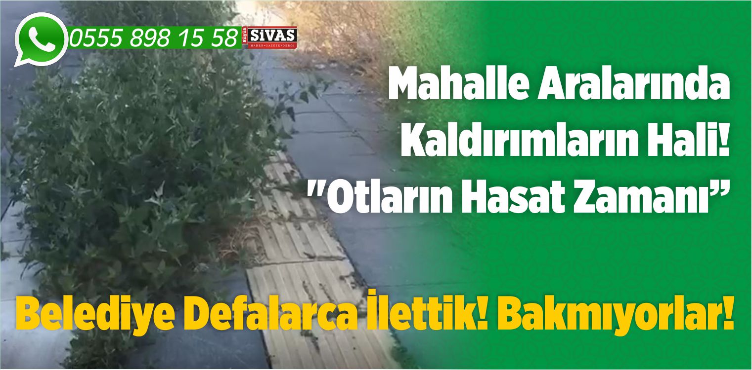Mahalle Aralarında Kaldırımların Hali! “Otların Hasat Zamanı”