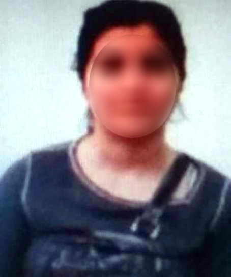 İkna Edilen PKK lı Teslim Oldu