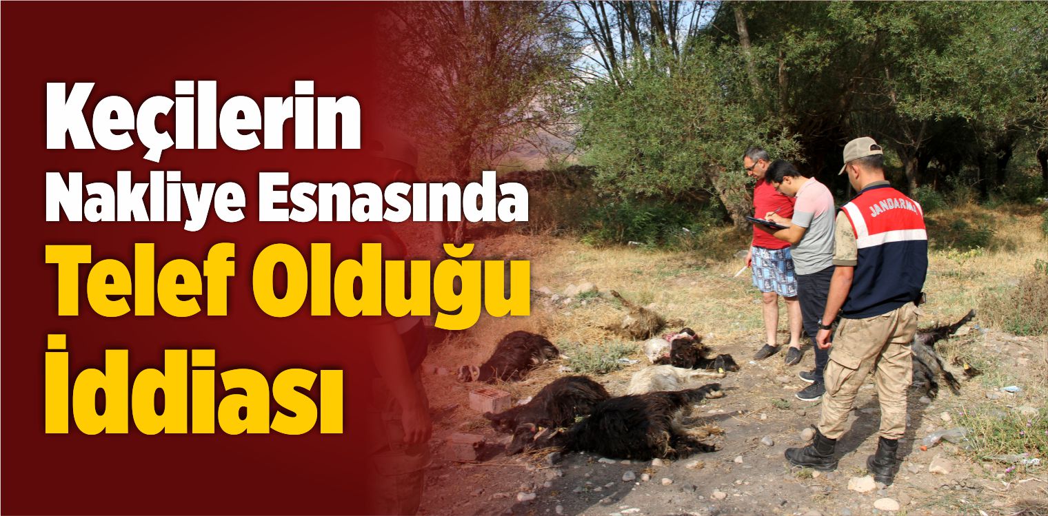 Telef Olduğu