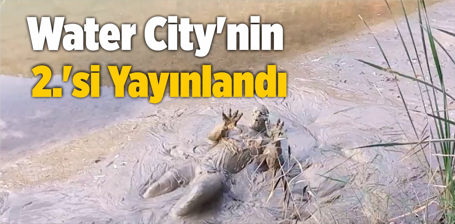 Water City’nin 2.’si Yayınlandı