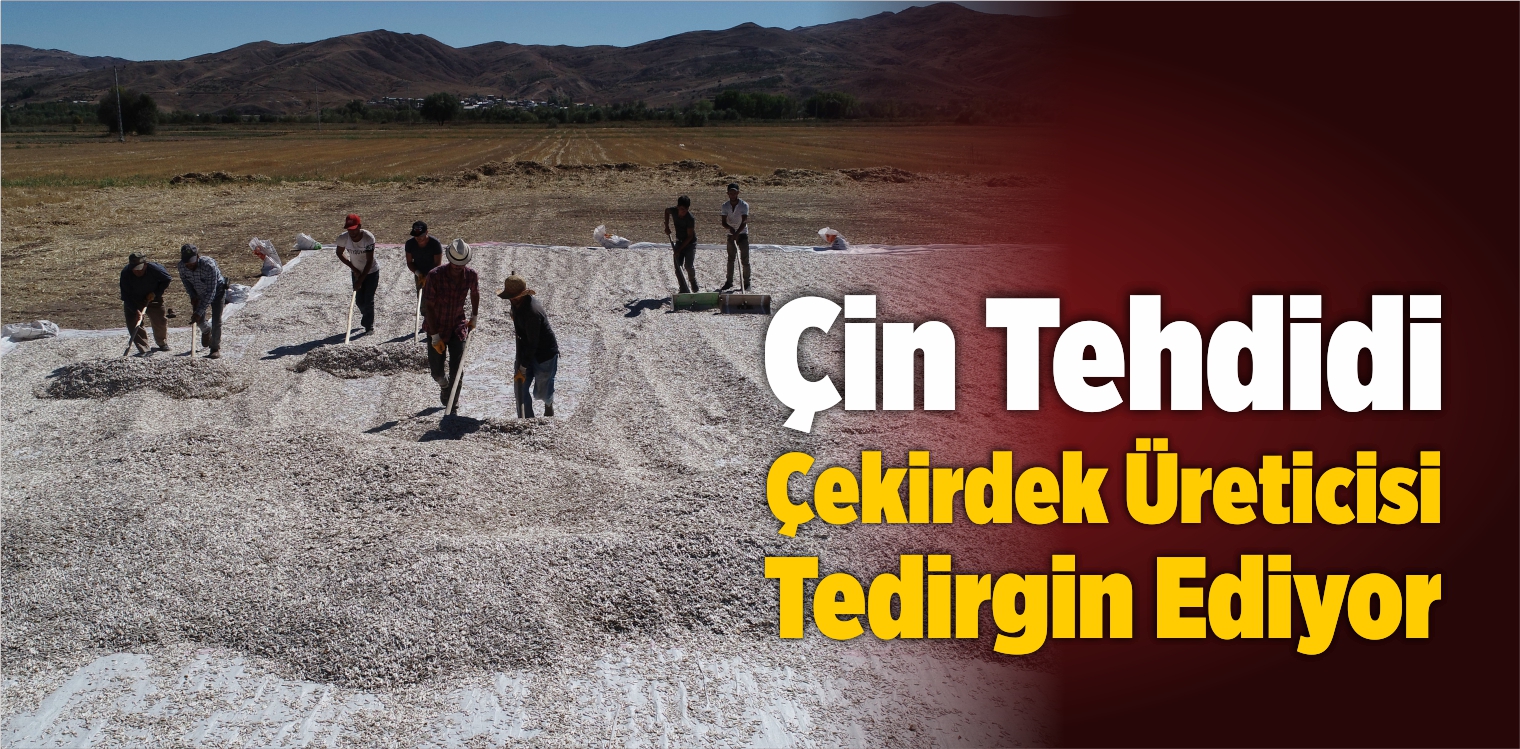 Çin Tehdidi Çekirdek Üreticisi Tedirgin Ediyor